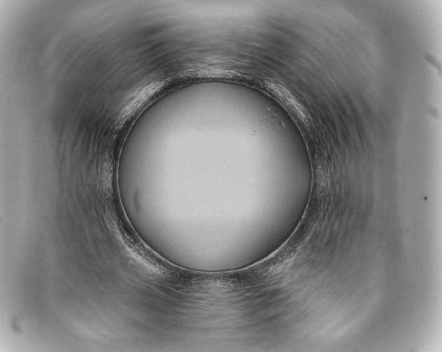X0000093480533200710261040
