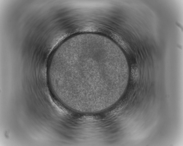 X0000093480534200710261040