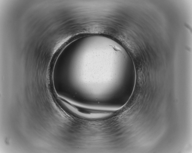 X0000093480536200710261040