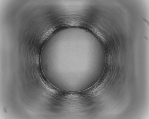 X0000093480537200710261040