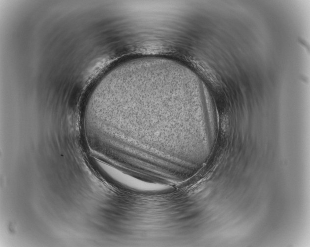 X0000093480540200710261040