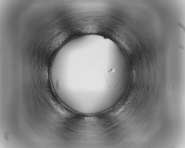 X0000093480541200710261040