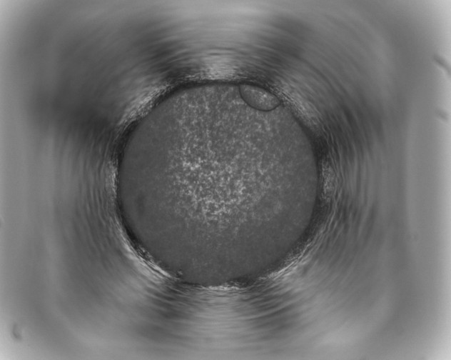 X0000093480542200710261040