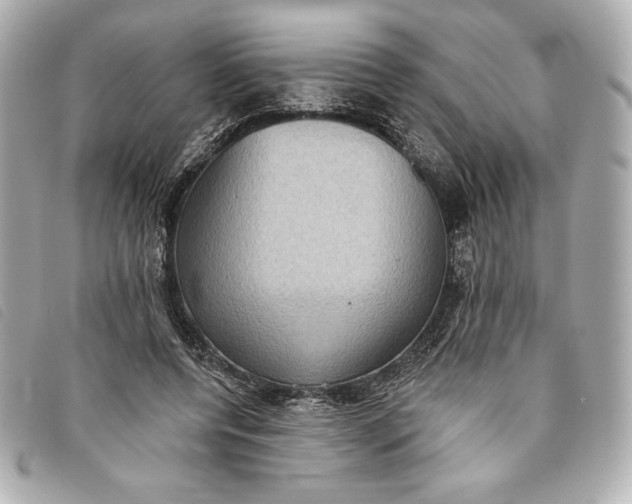 X0000093480544200710261040