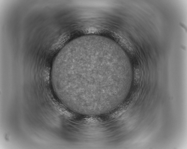 X0000093480545200710261040