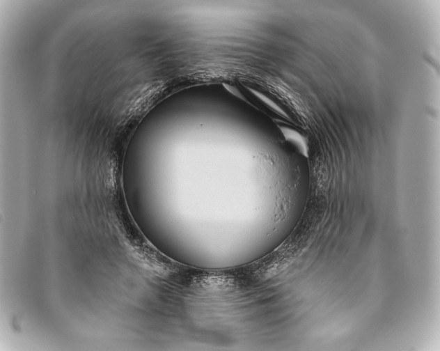 X0000093480546200710261040