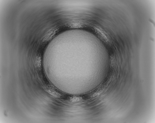 X0000093480549200710261040