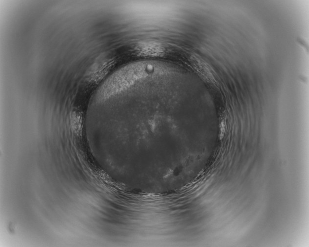X0000093480551200710261040