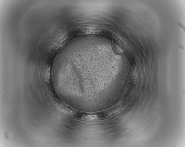 X0000093480554200710261040