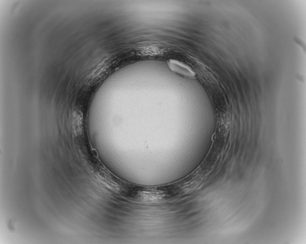X0000093480556200710261040