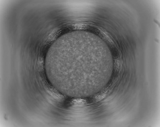 X0000093480557200710261040