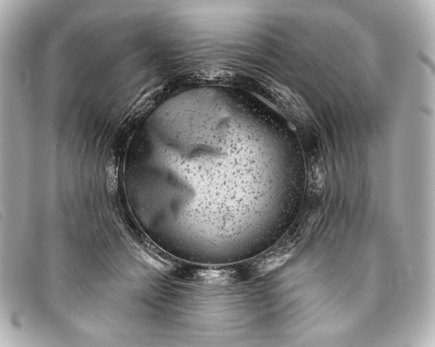 X0000093480558200710261040