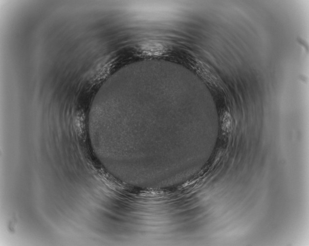 X0000093480559200710261040