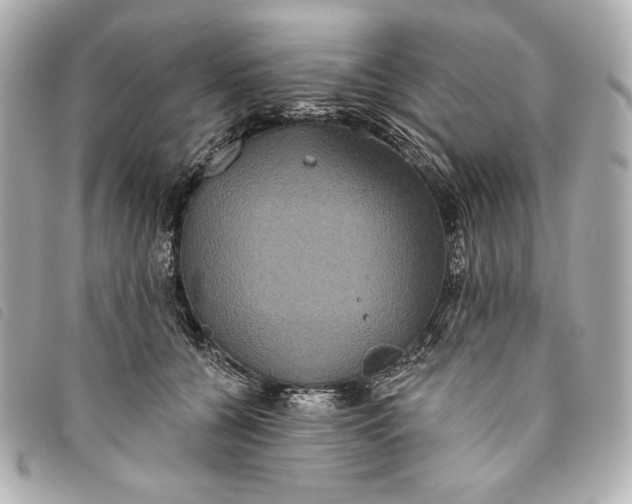 X0000093480560200710261040