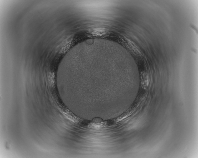 X0000093480563200710261040