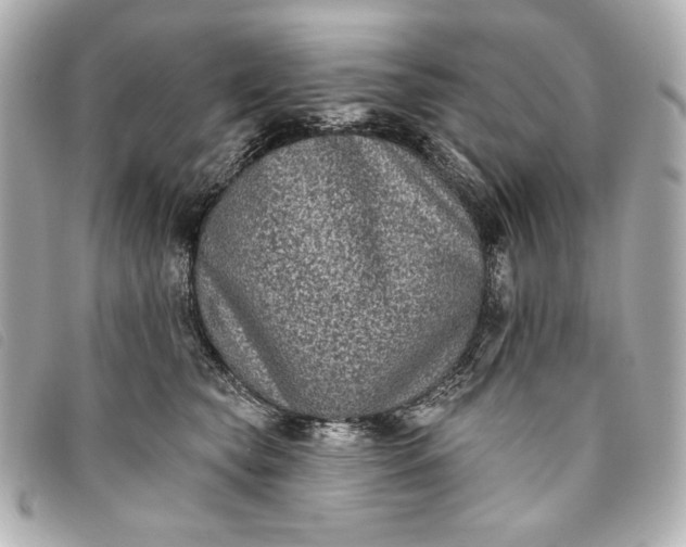 X0000093480565200710261040