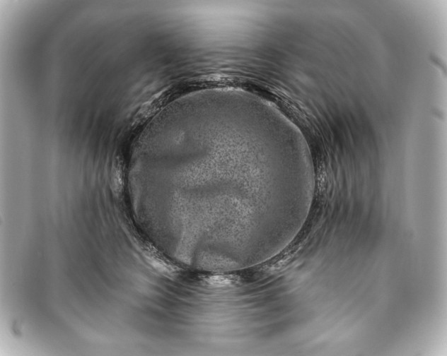 X0000093480566200710261040