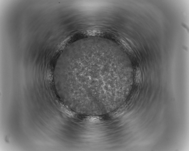 X0000093480569200710261041