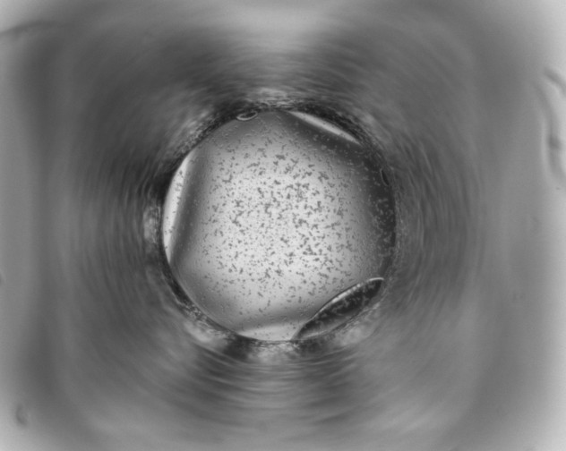 X0000093480576200710261041