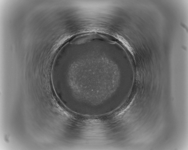X0000093480577200710261040