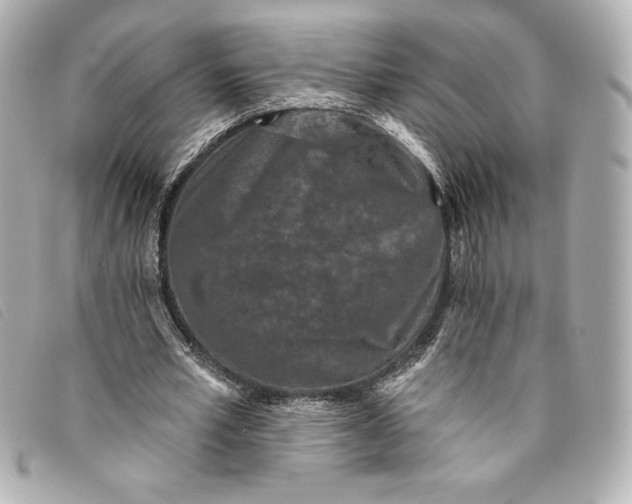 X0000093480581200710261040