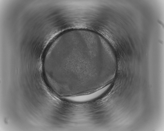 X0000093480584200710261040
