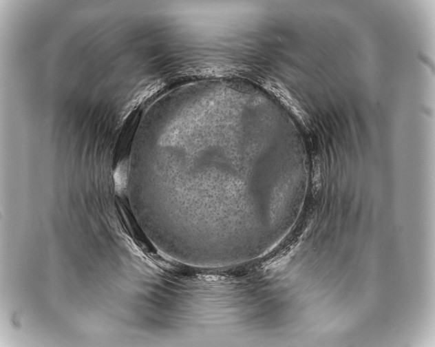 X0000093480585200710261040
