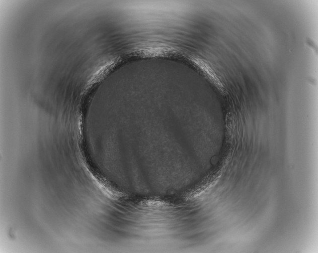 X0000093480590200710261040