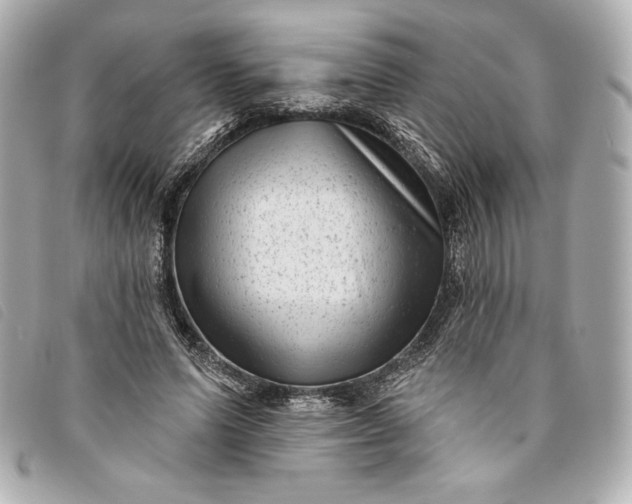 X0000093480591200710261040
