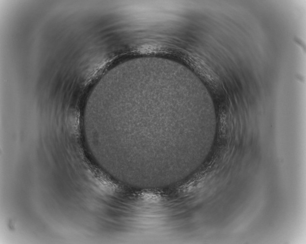 X0000093480592200710261040
