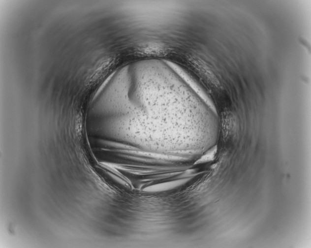 X0000093480593200710261040