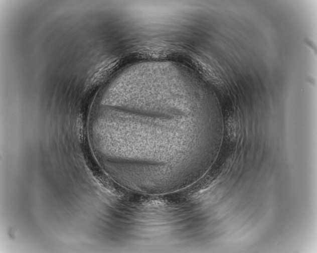 X0000093480594200710261040
