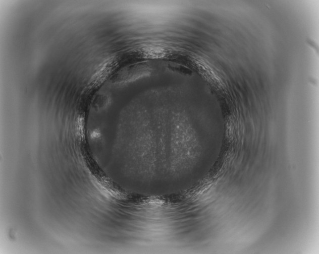 X0000093480598200710261040
