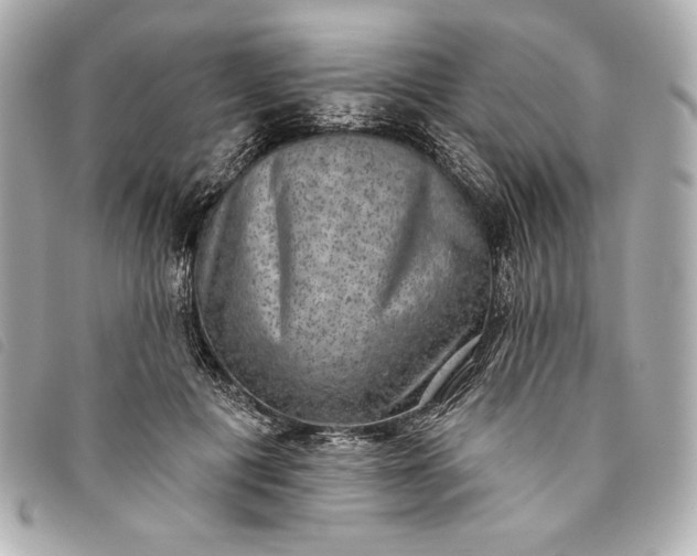 X0000093480601200710261040