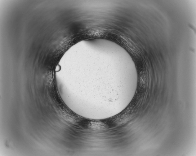X0000093480605200710261040
