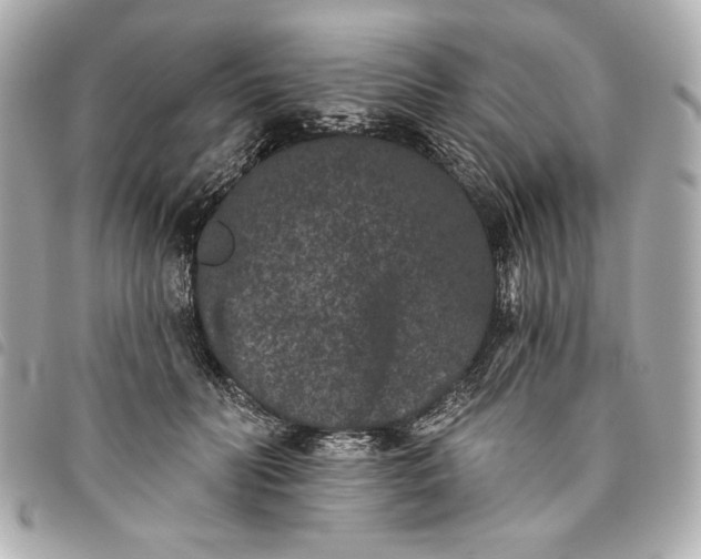 X0000093480606200710261040
