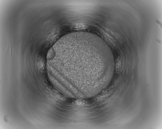 X0000093480608200710261040