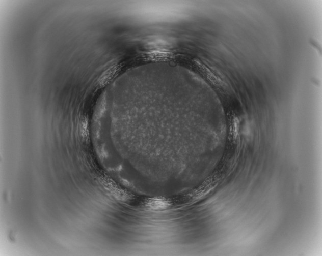 X0000093480610200710261040