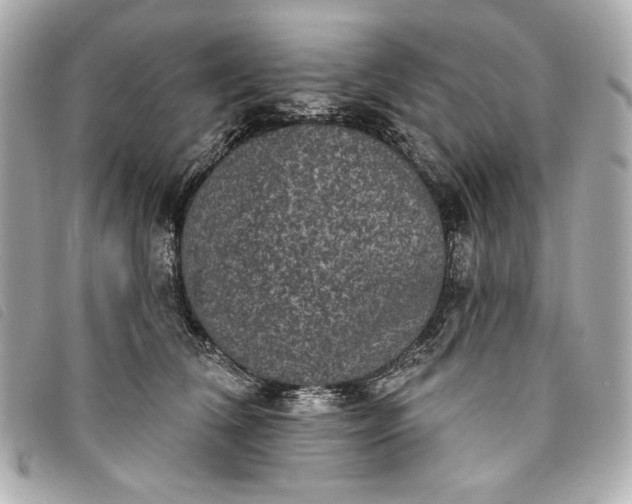 X0000093480612200710261040