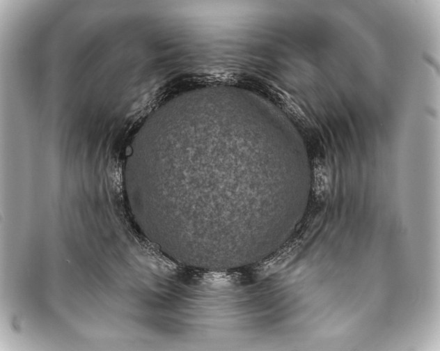X0000093480613200710261040