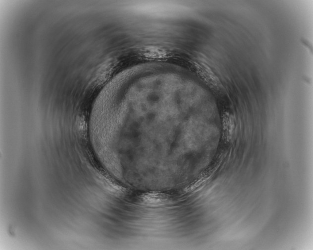 X0000093480614200710261040