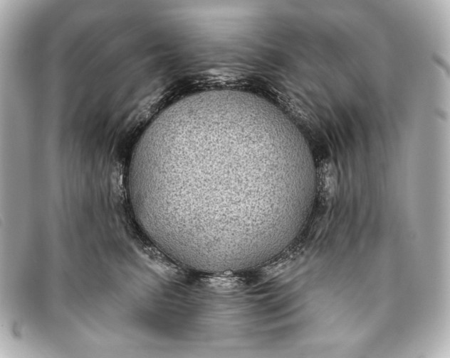 X0000093480615200710261040