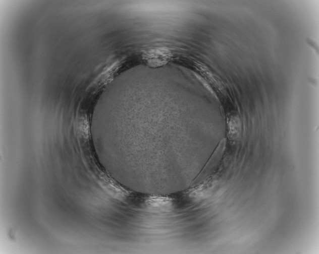 X0000093480617200710261040