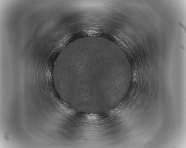 X0000093480618200710261040