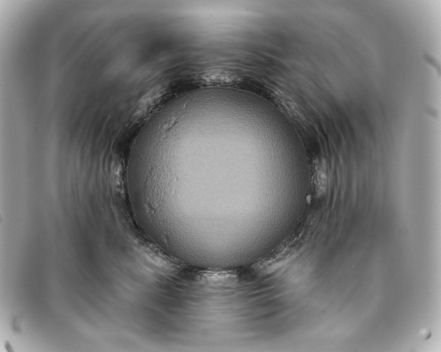 X0000093480619200710261040