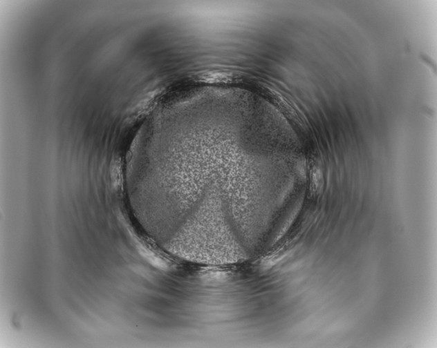X0000093480620200710261039