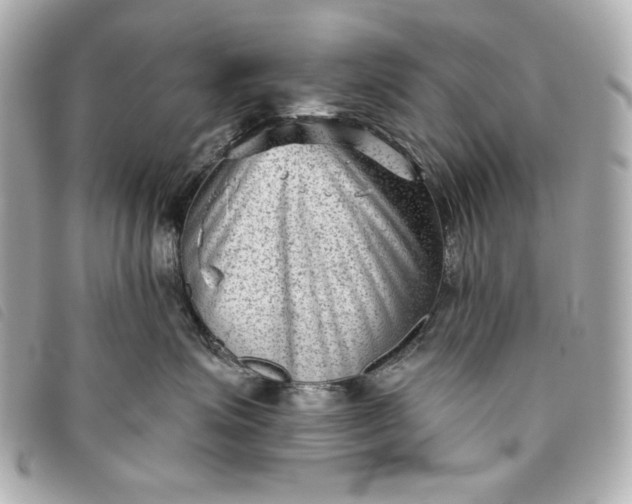 X0000093480623200710261039