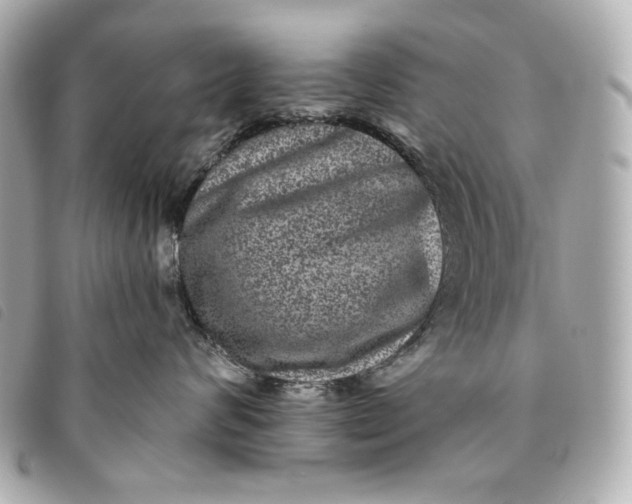 X0000093480624200710261039