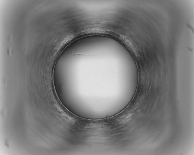 X0000093480625200710261039