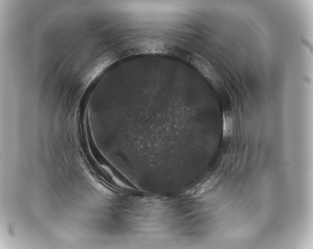 X0000093480627200710261039